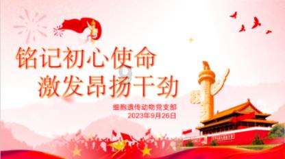 英语You’re Tops怎么翻译？游戏画面