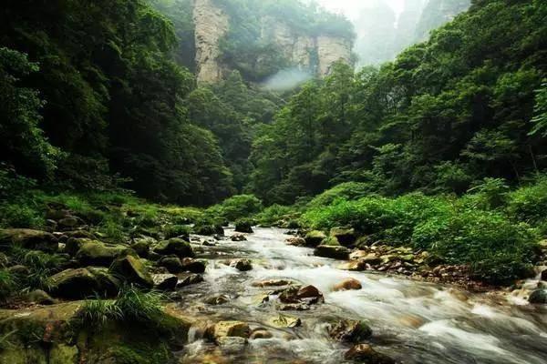 华科尔QL1600油电混合长续航无人机